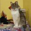 Отзыв от Ида Кузина